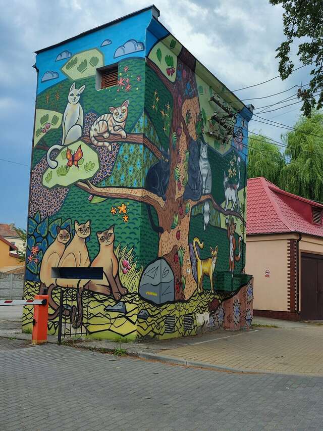 Гостиница 20 Меридиан Зеленоградск-47